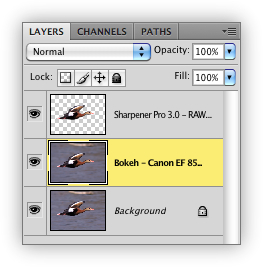Blending Layers in Photoshop