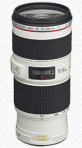 Canon EF 70-200mm f/4L IS USM Lens