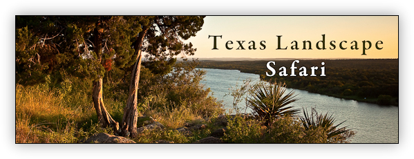 Texas Landscape Safari